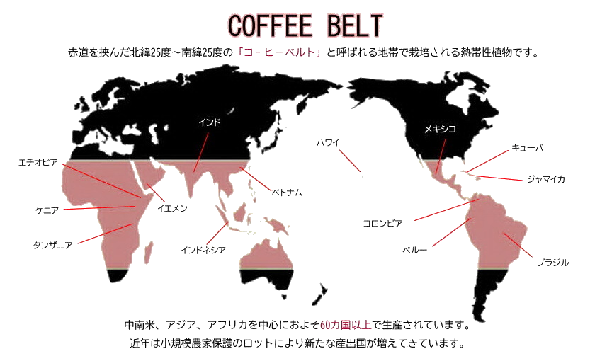 コーヒーベルト図
